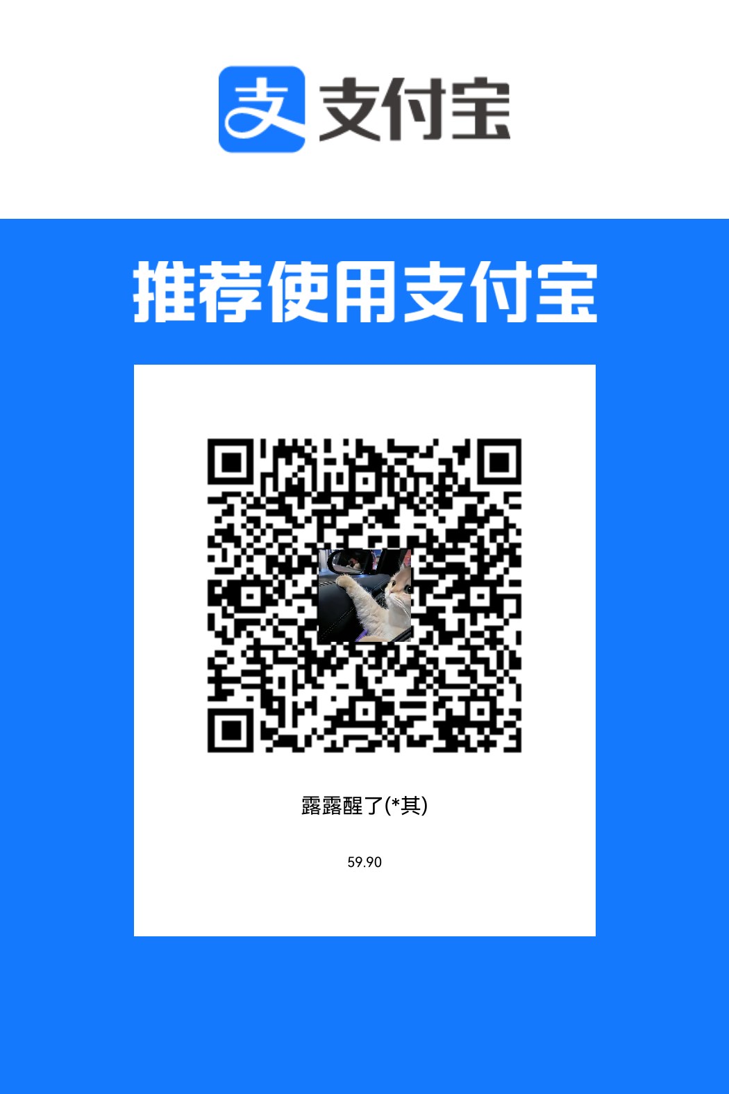 支付宝二维码-59.9元